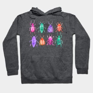 Watercolor Beetles Hoodie